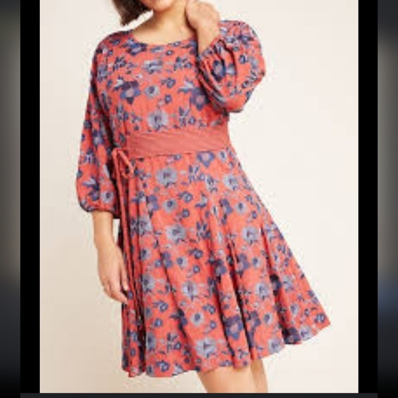 Anthropologie embroidered Juniper belted swing dress - XS.      A72 - Picture 6 of 14
